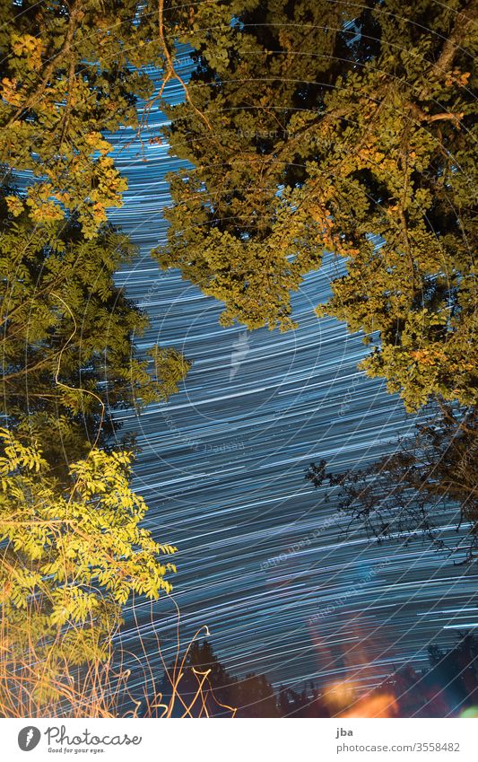 Long time exposure from a campfire Long exposure Starry sky stars long exposure Oak tree Branch branches leaves Fire Embers Nature out Sky Night sky Evening