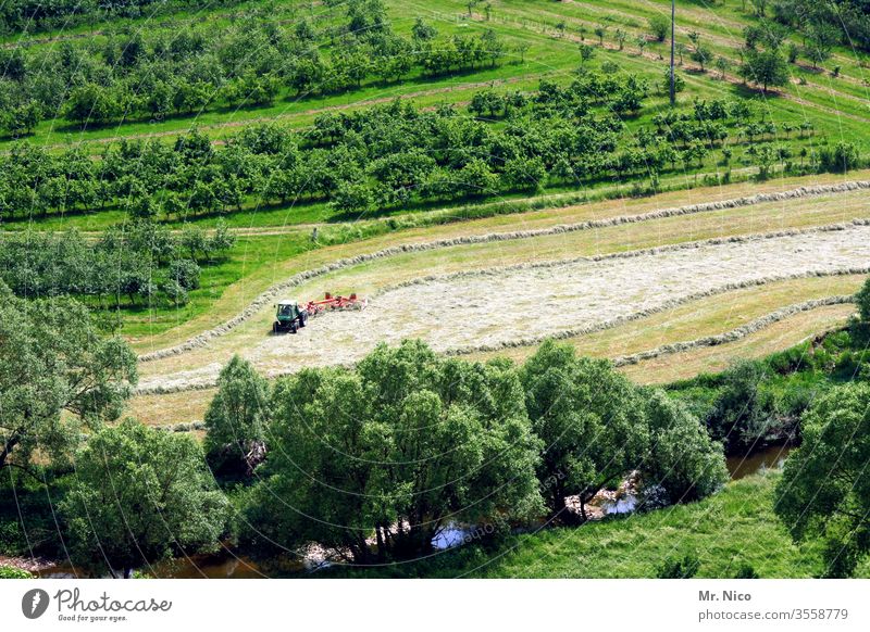 Haymaking Hay harvest Agriculture Harvest Grass Nature Work and employment Plant Landscape hillock Meadow Field Growth green Fresh Farm Country life Summer