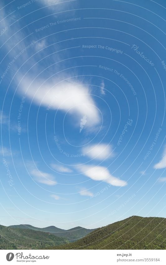 blue sky with veil clouds over wooded hills of the Pfälzerwald Sky Clouds cirrostratus clouds hillock mountains Forest Palatinate forest Rhineland-Palatinate