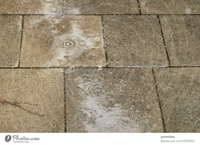 Rainy weather. Bad weather. Rain falls in puddles on paving stones and forms circles. Rain puddle Puddle Weather Wet Nature Reflection interstices Paving stone