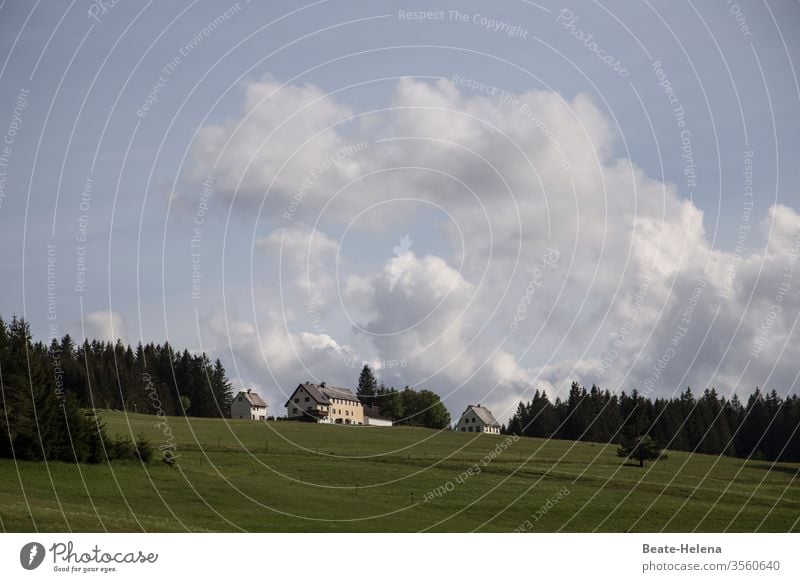 Natural idyll 2 Landscape Nature naturally Forest Meadow Exterior shot Grass Sky Clouds Village