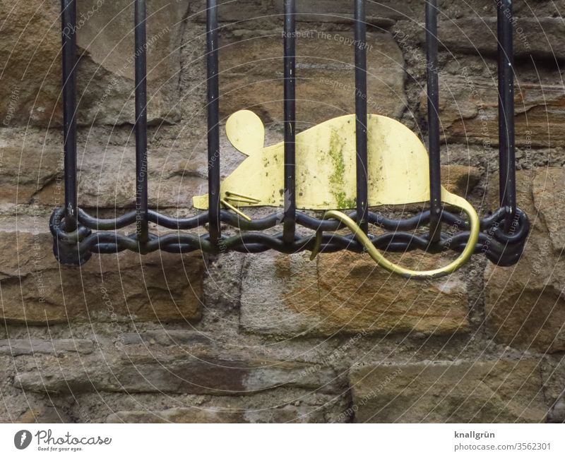 A golden metal mouse sits in a black metal cage, attached to the top of a historic wall Mouse trap cagey Animal Captured Grating stylized Exterior shot