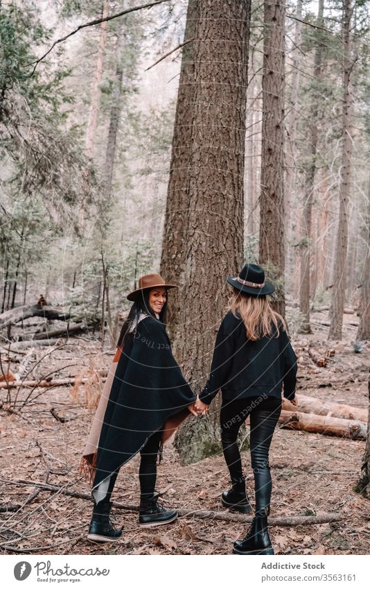 Young female travelers in coniferous forest women tree together friend stone style trendy woods trunk landscape yosemite park sequoia national scenery