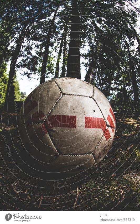 Forrestball Foot ball Ball Environment Nature Air Forest Old Good Moody Joy Colour photo Exterior shot Day