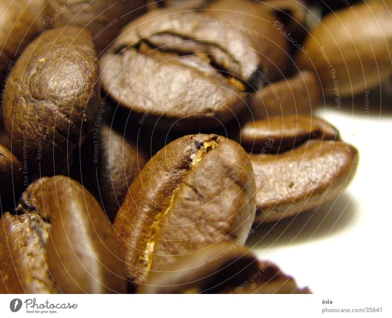 Coffee beans #2 Beans Espresso Sense of taste Macro (Extreme close-up) Close-up Aromatic