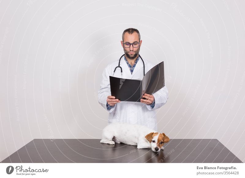 young veterinarian man reading documents about illness of a cute small dog.on white background. Indoors medicine owner male clinic happiness analysis breed
