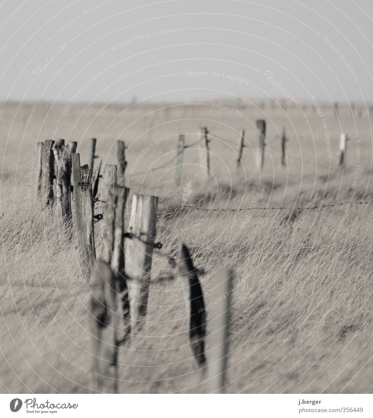 III iI IIIi I Far-off places Beach Nature Landscape Plant Cloudless sky Autumn Grass Bushes Meadow Coast North Sea Brown Gray Mud flats Wet meadow Fence