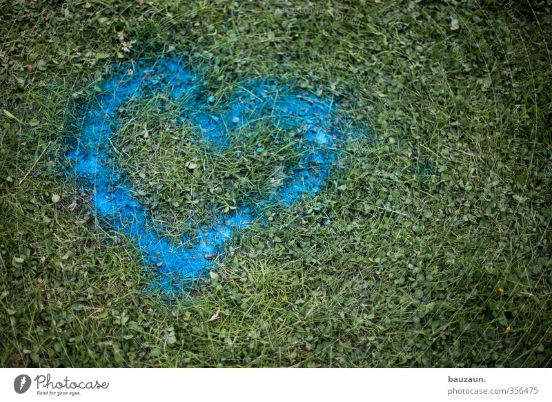 washable. Feasts & Celebrations Valentine's Day Earth Grass Park Meadow Heart Blue Green Love Love affair Transience Destruction Colour photo Exterior shot