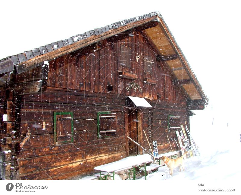 snow-covered Elmau Alm Winter Alpine pasture Snow Window Dog Remote Loneliness Architecture Hut