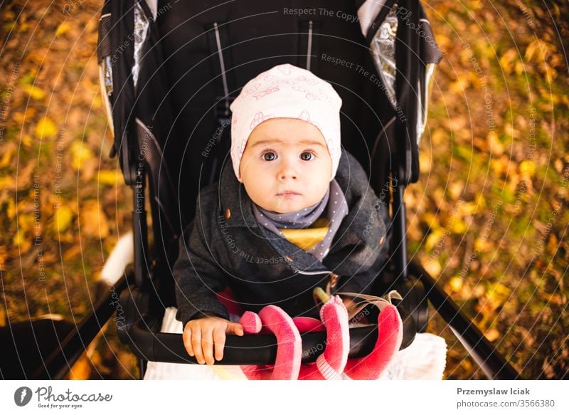 One year old cute baby girl in black strolly amazed to see colorful autumn leaves. child expression park fall nature mother emotions family walk young stroller