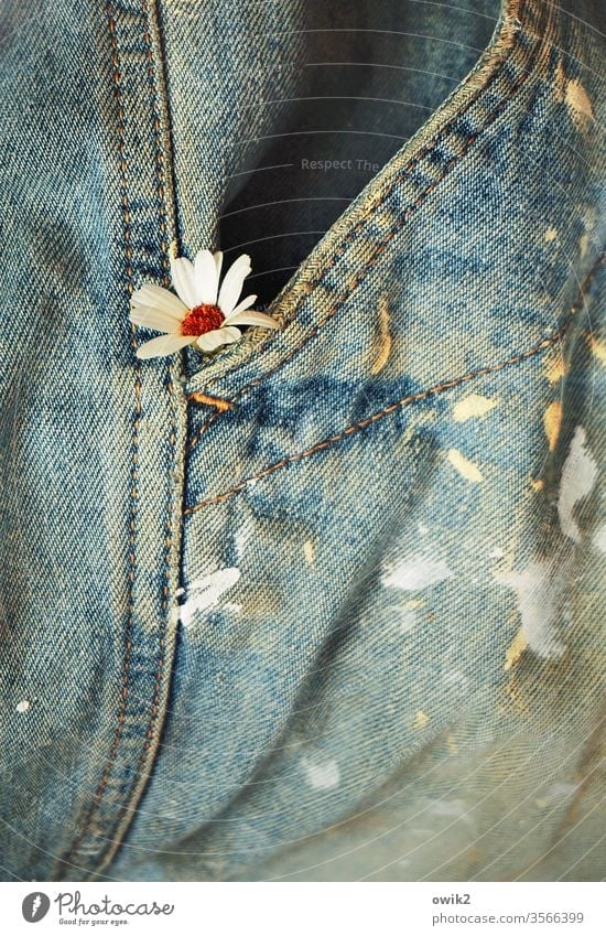 souvenirs flowers bleed Hiding place peek inquisitorial Small Pants Trouser pocket jeans work trousers Dirty colour stains worn-out Shabby Stitching washed out