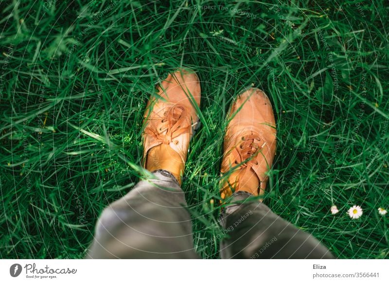 A person is standing in the green meadow, you can only see his legs and shoes seen from above Meadow Footwear Legs foot Summer Sunlight Daisy Grass Lawn Garden