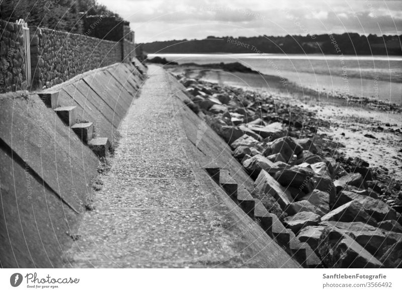 Stairs on the bank stairs beach Black & white photo stairway beach walk Vacation & Travel Ocean Exterior shot Water beach chair Concrete Brittany contrast