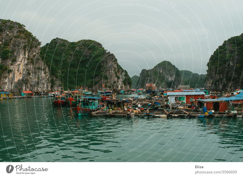 Floating village in the Halong Bay in Vietnam floating village Halong bay Fisherman variegated Life that Water Limestone rocks Ocean Asia Dreary cloudy Tourism