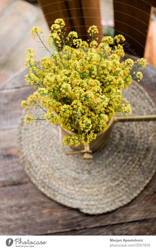 Beautiful yellow wild flowers on the wooden table in the backyard arrangement background beautiful beauty bloom blooming blossom botany bouquet bunch closeup
