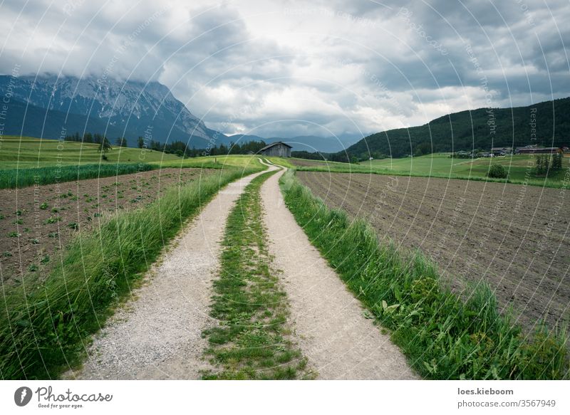 Winding path through farmland with Austrian Alps, Mieminger Plateau, Tyrol, Austria agriculture alps landscape austria ecological tyrol field regional nature