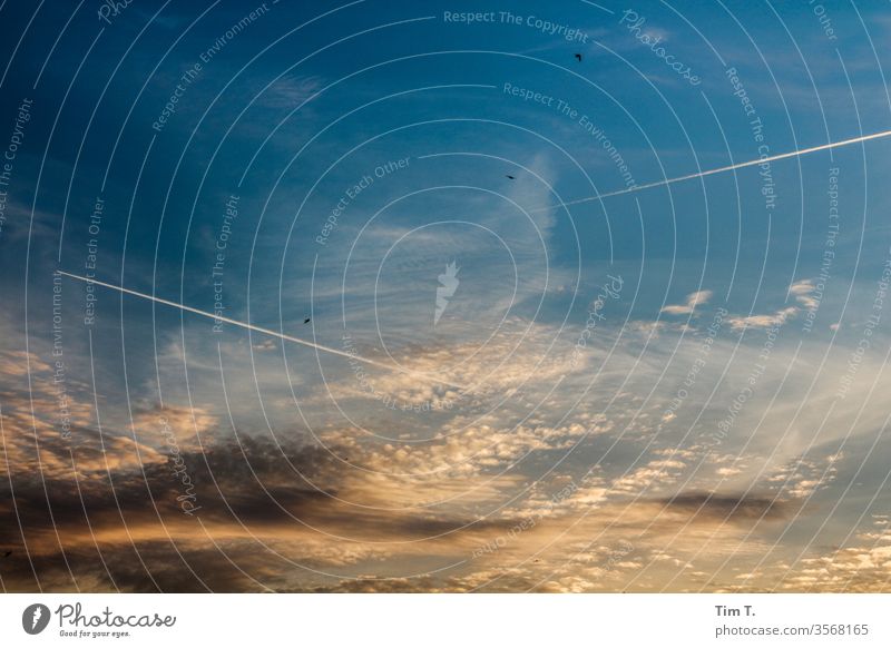 Sky over Berlin Vapor trail Blue Airplane Aviation Clouds Vacation & Travel Flying Passenger plane Colour photo Exterior shot Tourism Deserted Copy Space top