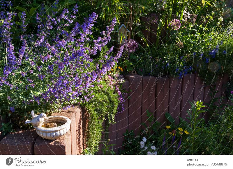 Garden picture with bird bath, purple catnip and reddish palisade of stone Bird watering place Nature Summer bleed Plant Life Living or residing Bamboo