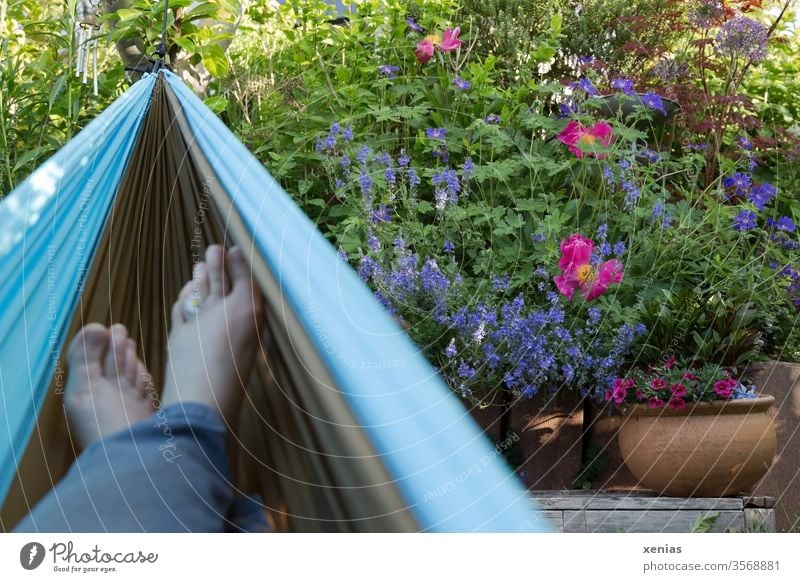 From the relaxing hammock: view of flowers in the garden and feet with daisies Garden Hammock foot relaxation Peony honorary prize Flowerpot Relaxation