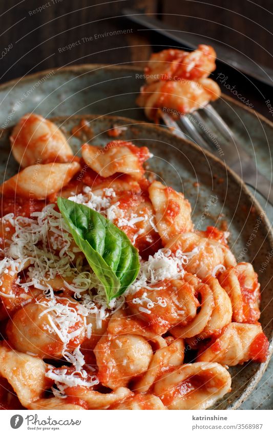South italian  pasta orecchiette with tomato sauce and cacioricotta cheese apulia tomatoes sugo close up dark wooden cooked cuisine diet dinner dish food