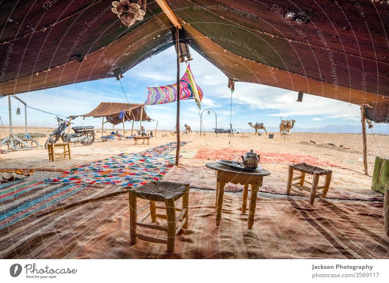 Interior of the temporary stretch tent Bedoiun in the Agafay desert, Morocco House (Residential Structure) Camel Tent inward indoors Animal Glass Tea Chair