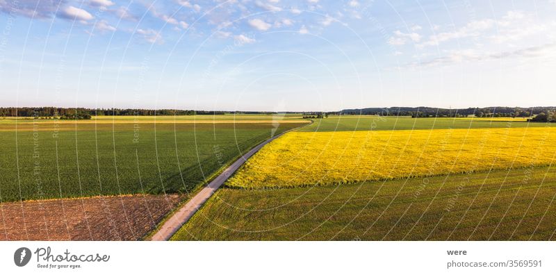 View from above over agricultural fields and a field path near Bergheim Area flight Field path aerial view bird's eye view copy space drone flight farmer