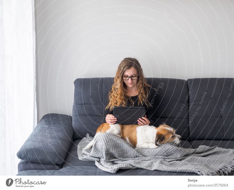 https://www.photocase.com/photos/3570064-junge-frau-sitzt-mit-einem-tablet-auf-einem-kleinen-hund-auf-einem-grauen-sofa-photocase-stock-photo-large.jpeg