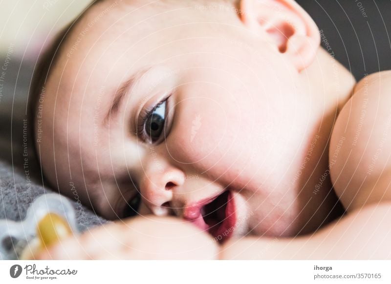 portrait of a beautiful sleeping baby adorable beauty boy caucasian child childhood close-up closed closeup cute dream eyes face hand health healthy human