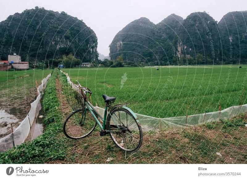 A bicycle in front of rice fields in Ninh Binh, Vietnam Bicycle Asia Vacation & Travel Landscape Asian Nature Rice Travel photography Agriculture