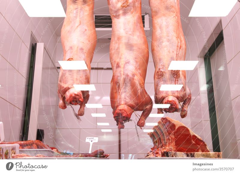 Halal butchery. Whole lamb. supermarket. Meat industry, meat, lamb hanging on a hook in the cold store, behind a glass pane, glass counter in a Turkish shop. Halal cutting. Halal Foodstore