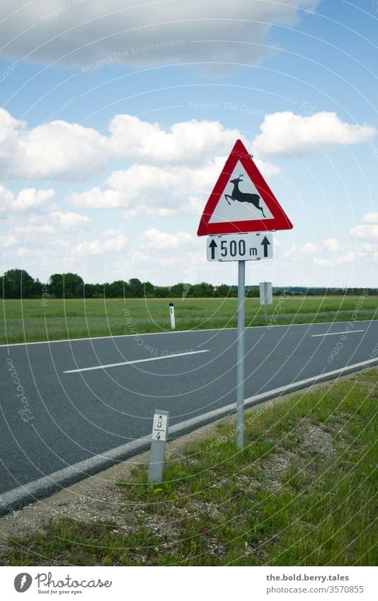 traffic sign game pass 500 m on country road Road sign Deer crossing Wild Exterior shot Colour photo Day Nature Street Traffic infrastructure Signs and labeling