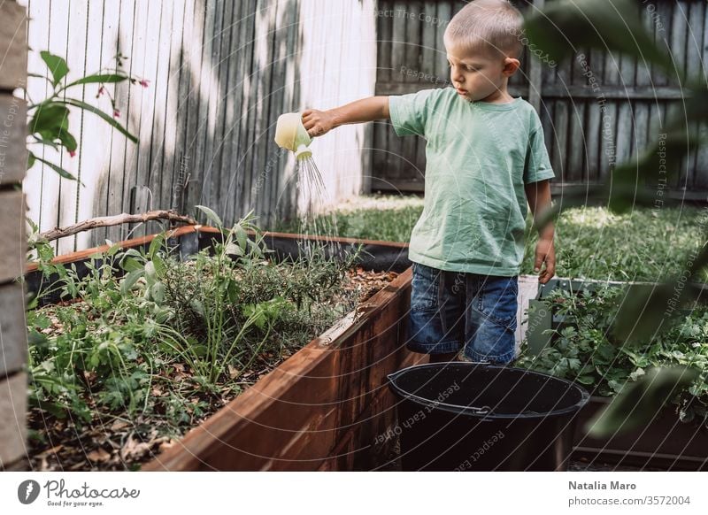 A little boy is watering plants in the garden. Concept of farming and environment protection nature green life soil agriculture small spring young concept new