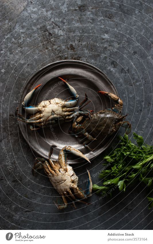 Crabs placed on a metal plate near fresh green parsley crabs dish gastronomy cook marine crabbing gourmet prepared tropical clamps delicious isolated leaves