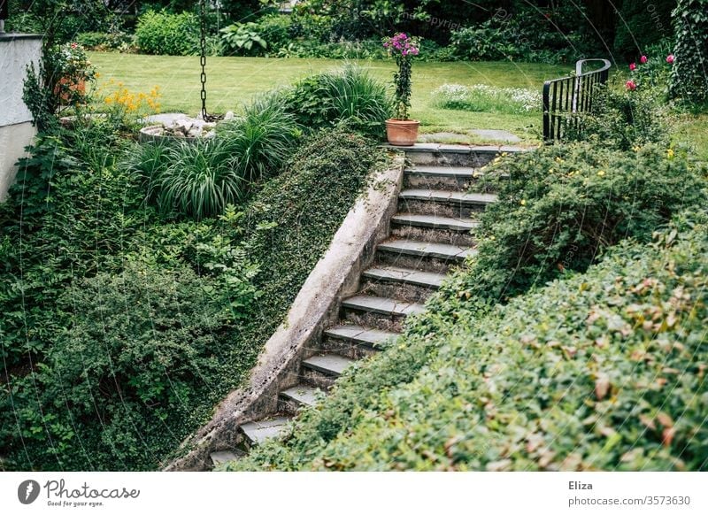 Stairs in the garden leading down a slope to the cellar Garden Cellar Escarpment Handrail Downward Upward green enchanted Nature maintained plants planted great