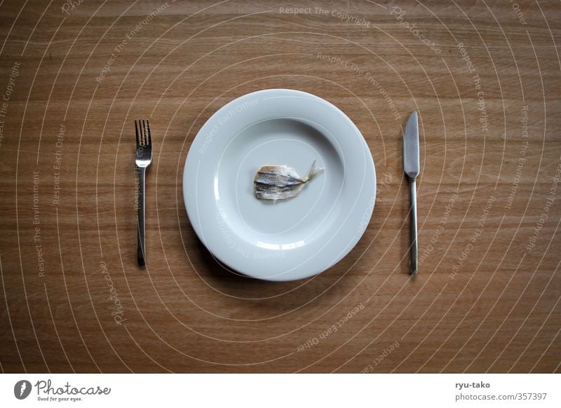 fish with a difference Delicacy Plate Cutlery Fish Exceptional Fine Delicate Delicious Small Minimalistic Dried Colour photo Deserted Copy Space left