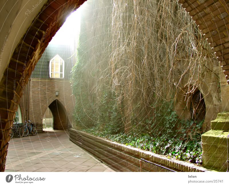 Inner courtyard in Bremen city centre Light Calm Architecture Gate Interior courtyard Peaceful