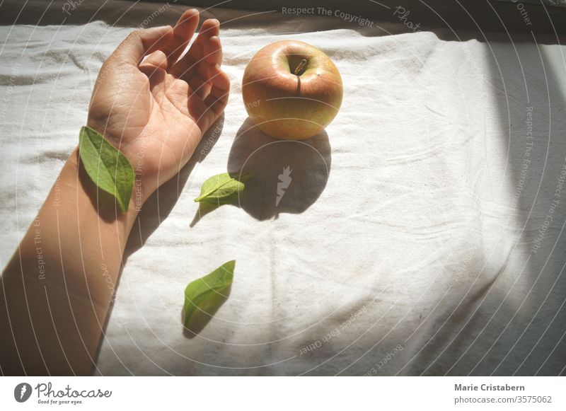 Leaf covering the wrist hand and an apple against a white bed sheet suicide concept suicide awareness conceptual image Suicide victim desperation cinematic