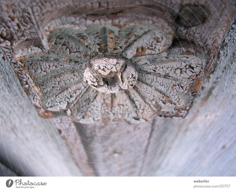 Beauty of decay Light blue Flower Carving Ancient Wood Arts and crafts  Furniture Depth of field Craft (trade) Old