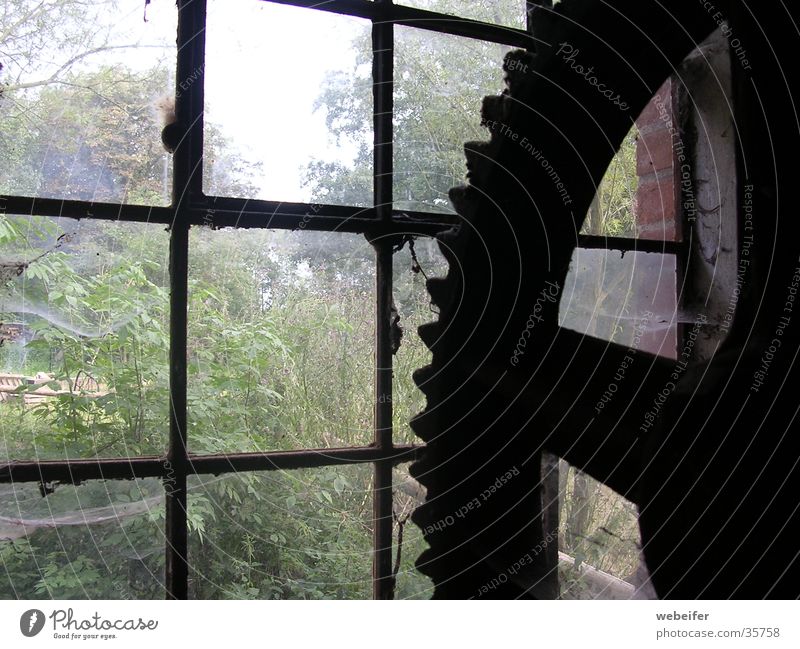 large gear Mill Historic Architecture Old Cobwebs window Gearwheel Industrial Photography