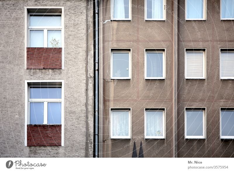 Kölsche I Art in construction Facade House (Residential Structure) Architecture Window Building High-rise Town Living or residing cathedral points Cologne