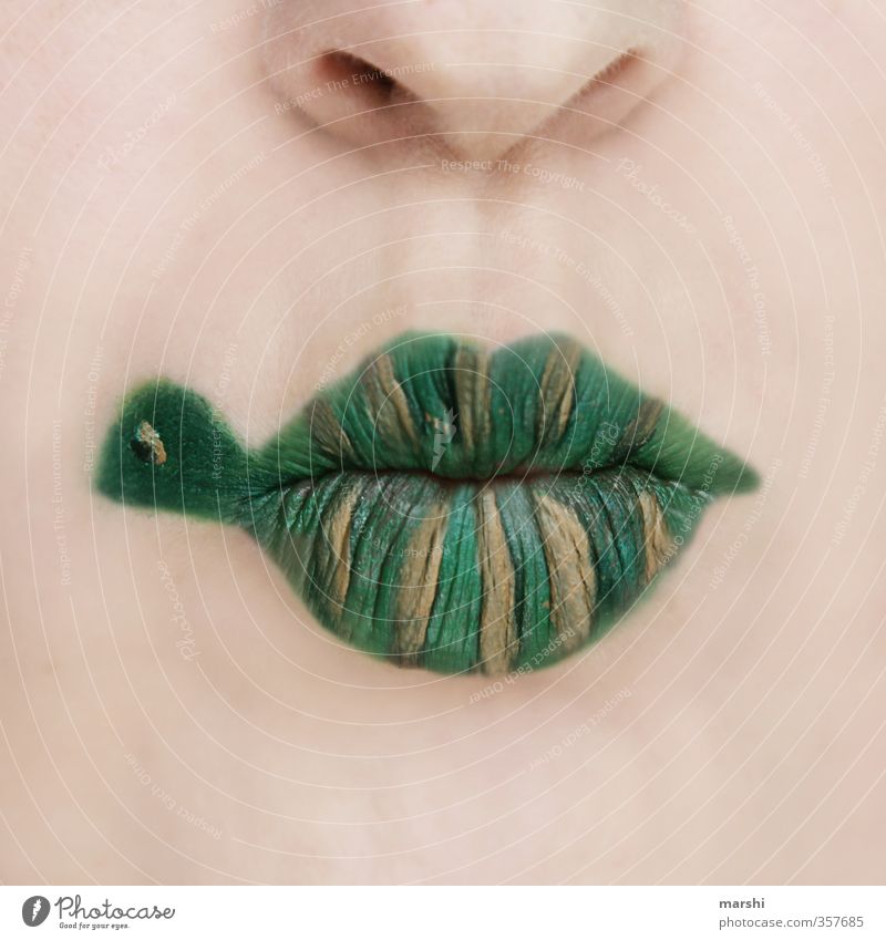cuirass lips Leisure and hobbies Human being Masculine Feminine Head Face Lips 1 Animal Pet Green Shell Turtle Make-up Wearing makeup Painted Funny Idea