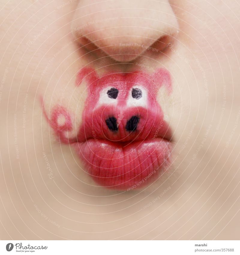 lucky... Human being Masculine Feminine Animal Pink Nose Mouth Animal protection Swine Swinishness Piglet Painted Wearing makeup Make-up Love of animals Lips
