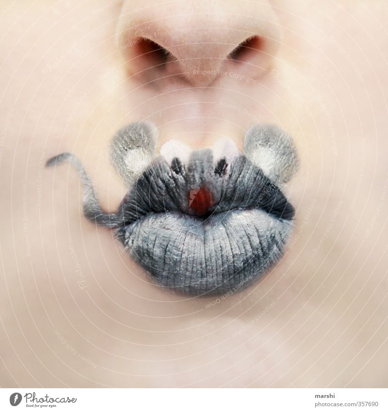be a fly on the wall Human being Feminine Face Nose Mouth 1 Animal Gray Mouse little mouse Make-up Idea Animal protection Animal portrait Animalistic Painted