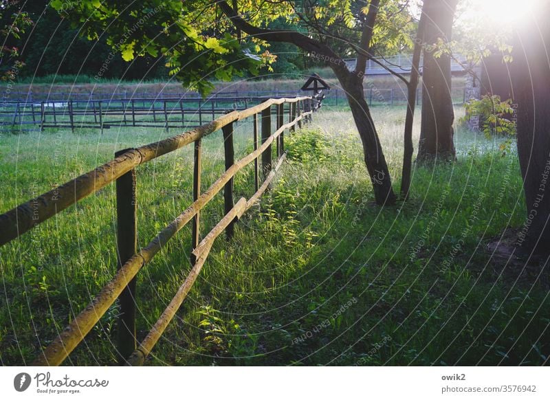 Channels Fence Gate Meadow Sun luminescent Brilliant Sunset Back-light Exterior shot Nature Colour photo Sunlight Contrast Sunbeam Beautiful weather Environment