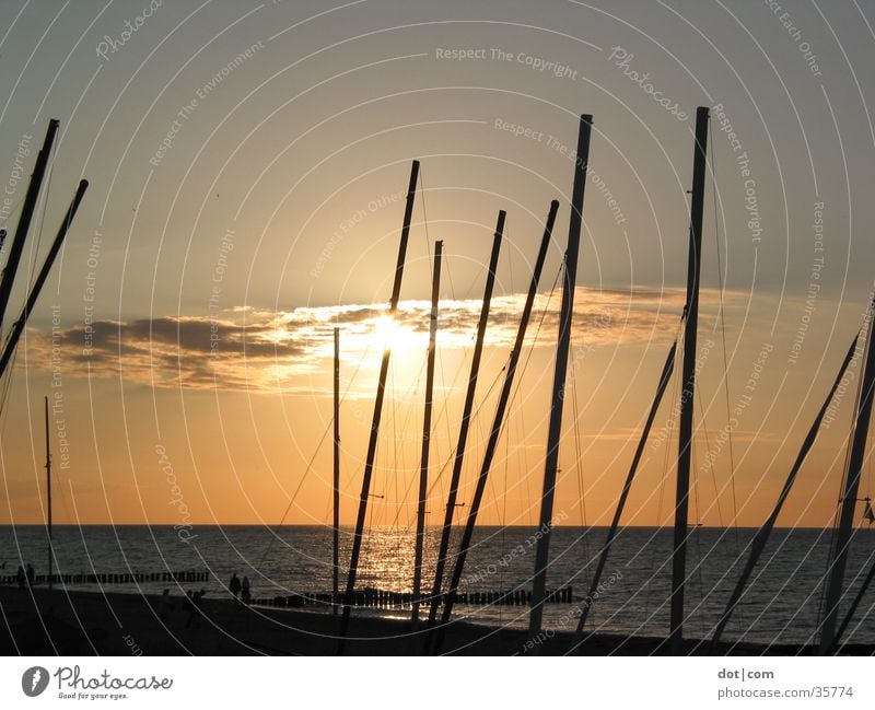 Sun and boats Sunset Ocean Beach Watercraft Catamaran Electricity pylon masts Baltic Sea