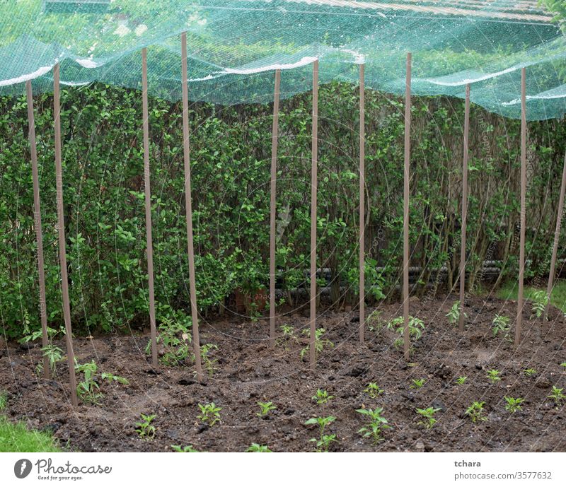 Greenhouse Protective Net Vegetable Garden