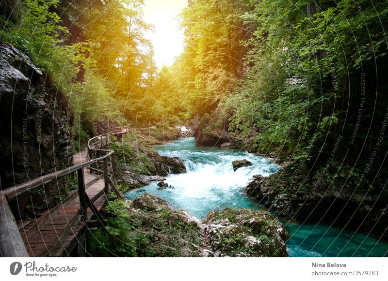 Beautiful view of mountain river, sun light through the trees, traveling in Slovenia, Vintgar. Hiking in Europe. landscape water triglav stream outdoor green