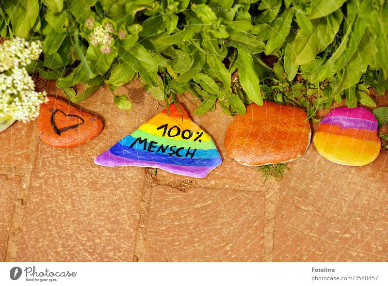 100 % human - or colourfully painted stones on a path variegated creatively Colour Colour photo Multicoloured motley green Red Blue Yellow Orange Close-up