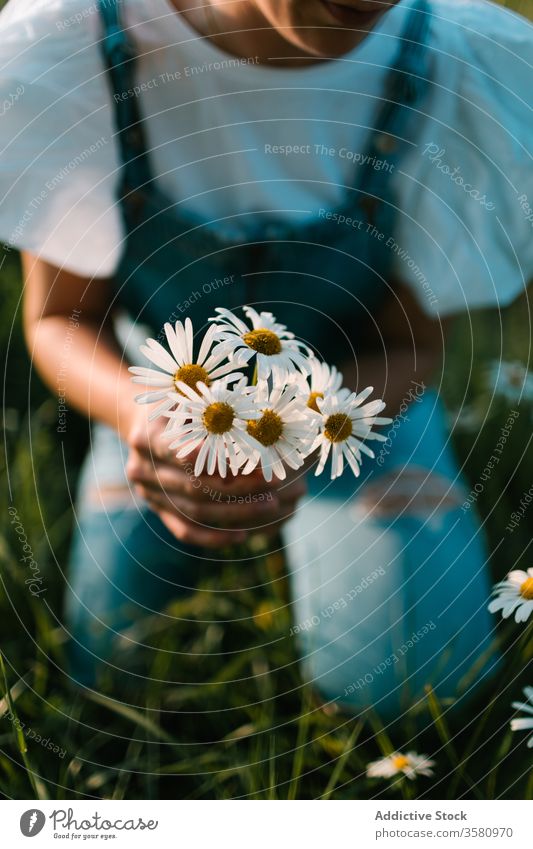 Calm female resting on green meadow in spring woman chamomile field rural pick collect smell calm enjoy bouquet fresh flower nature young bloom blossom relax