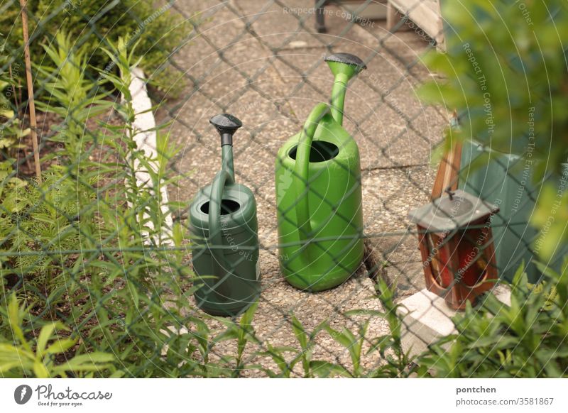 Gardening. Two green watering cans stand in an allotment garden behind a wire mesh fence Wire netting fence Garden plot plants Nature off square spring